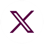 X Icon